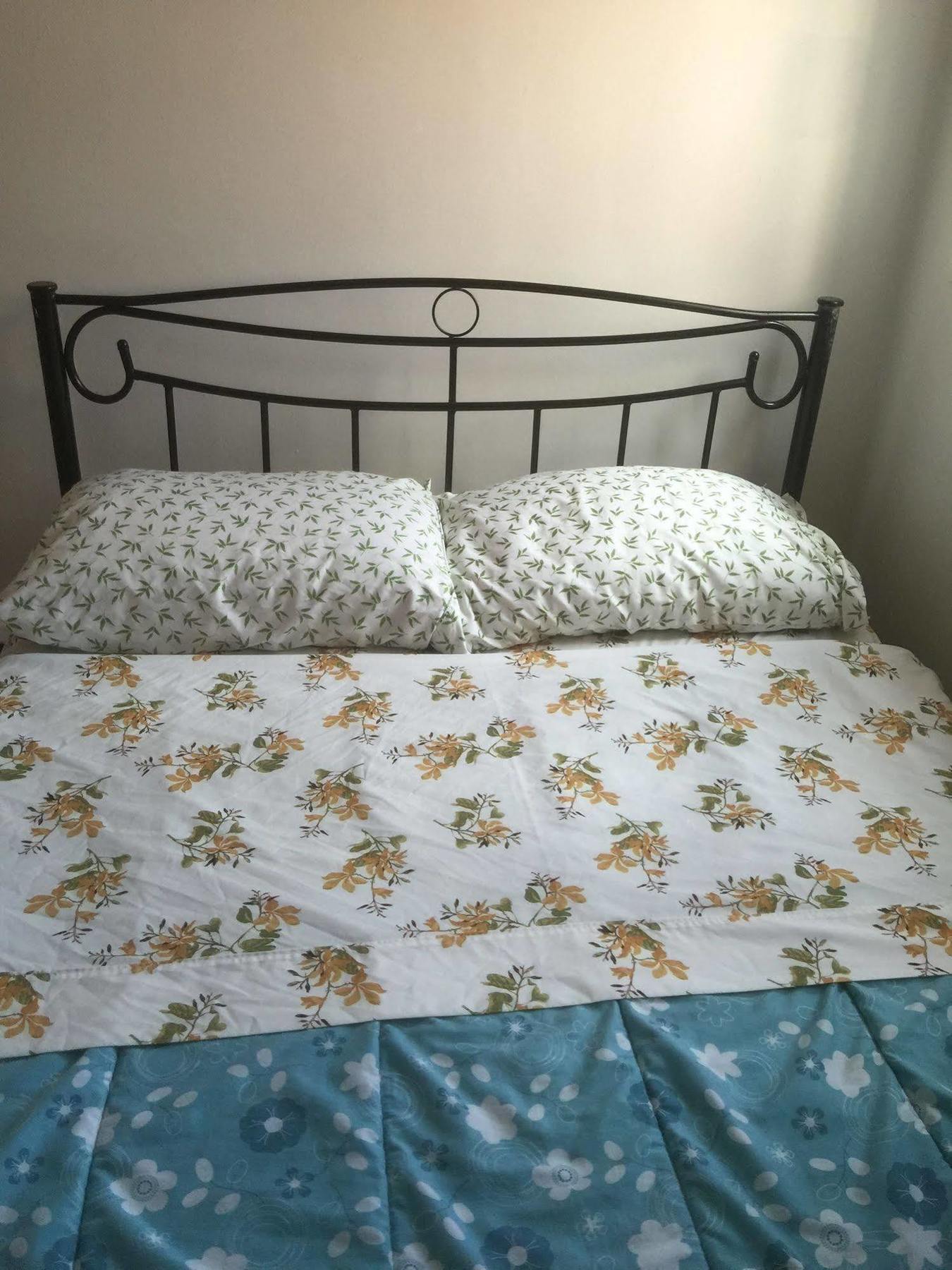 טורונטו University Apartment מראה חיצוני תמונה